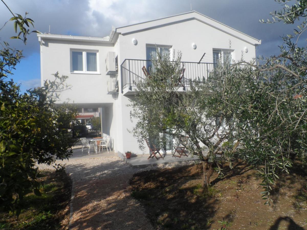 Dropulic Apartment